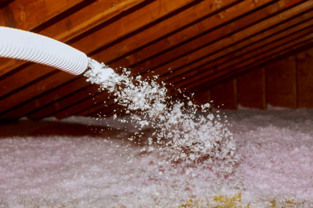 Insulation for Commercial Buildings in Gold River, CA
