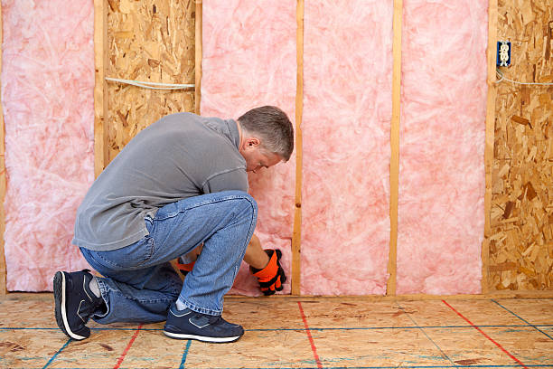 Best Insulation Contractor Near Me  in Gold River, CA