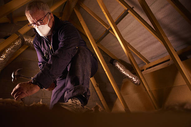 Insulation Inspection Services in Gold River, CA